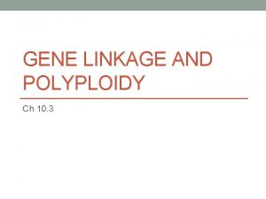 GENE LINKAGE AND POLYPLOIDY Ch 10 3 Gene