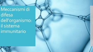 Meccanismi di difesa dellorganismo il sistema immunitario Sono