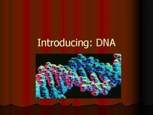 Introducing DNA Structure of DNA l DNA stands