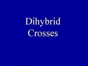 Dihybrid Crosses A dihybrid question is one that