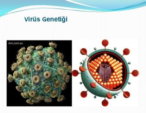 Virs Genetii 1 Viral genetik Virsler ve viroidler