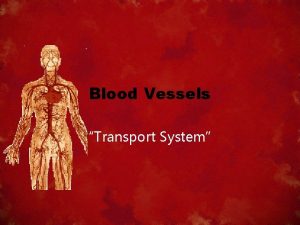 Blood Vessels Transport System Arteries Always carry blood