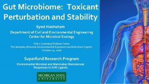 Gut Microbiome Toxicant Perturbation and Stability Syed Hashsham