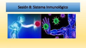 Sesin 8 Sistema Inmunolgico Qu es el sistema