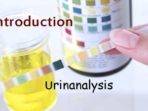 ntroduction Urinanalysis Urinary system T The kidneys are
