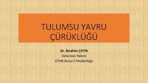 TULUMSU YAVRU RKL Dr brahim ETN Veteriner Hekim