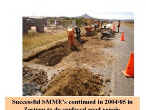 Development of SMMEs Successful SMMEs continued in 200405