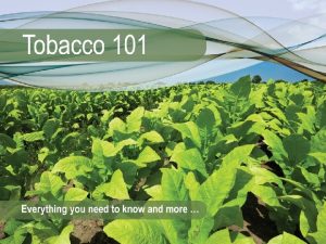 Module 1 Introduction Tobacco 101 Module 1 Introduction