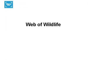 Web of Wildlife Food and food chains All