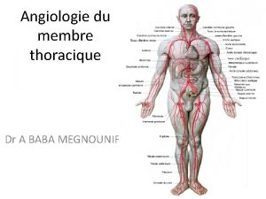 Angiologie du membre thoracique Dr A BABA MEGNOUNIF