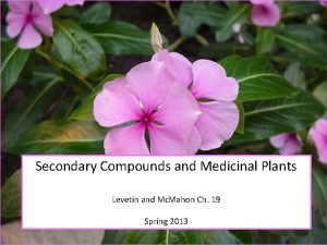 Secondary Compounds and Medicinal Plants Levetin and Mc