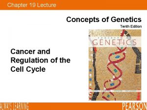 Chapter 19 Lecture Concepts of Genetics Tenth Edition