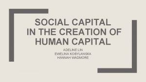 SOCIAL CAPITAL IN THE CREATION OF HUMAN CAPITAL