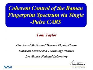 Coherent Control of the Raman Fingerprint Spectrum via