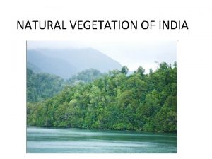 NATURAL VEGETATION OF INDIA TROPICAL EVERGREEN FORESTS Ebony