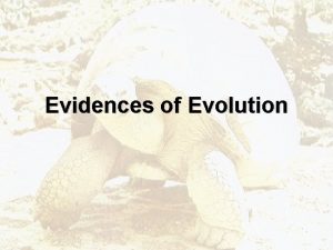 Evidences of Evolution Evolution Genetic change in a