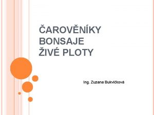 AROVNKY BONSAJE IV PLOTY Ing Zuzana Bukvikov AROVNKY