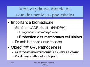 Voie oxydative directe ou voie des pentoses phosphates