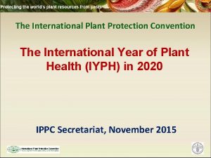 The International Plant Protection Convention The International Year