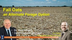 Fall Oats an Alternate Forage Option Dr Mike