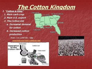 The Cotton Kingdom I Cotton is King 1