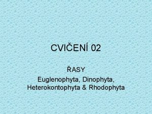 CVIEN 02 ASY Euglenophyta Dinophyta Heterokontophyta Rhodophyta Odd