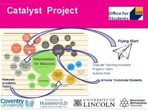 Catalyst Project Flying Start Graduate Teaching Assistants Progress