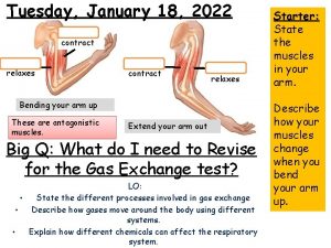 Tuesday January 18 2022 Biceps contract Triceps relaxes