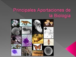 Principales Aportaciones de la Biologa Desde la antigedad