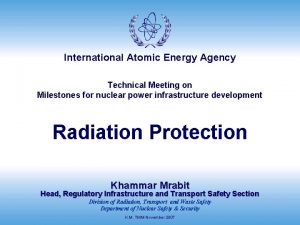 International Atomic Energy Agency Technical Meeting on Milestones