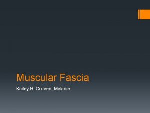 Muscular Fascia Kailey H Colleen Melanie Muscular Fascia