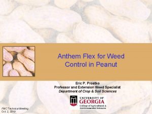 Anthem Flex for Weed Control in Peanut Eric