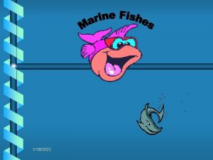 1182022 Marine Fishes b Ectothermic b Fins b