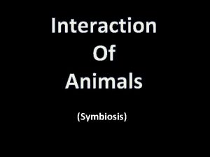 Interaction Of Animals Symbiosis Symbiosis is a close