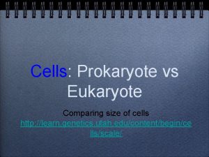 Cells Prokaryote vs Eukaryote Comparing size of cells