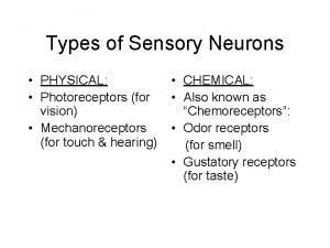 Types of Sensory Neurons PHYSICAL Photoreceptors for vision