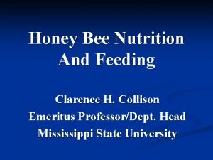 Honey Bee Nutrition And Feeding Clarence H Collison