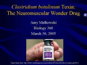 Clostridium botulinum Toxin The Neuromuscular Wonder Drug Amy