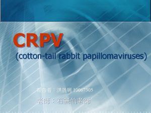 CRPV cottontail rabbit papillomaviruses 10067305 Virus function n