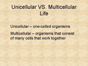 Unicellular VS Multicellular Life Unicellular onecelled organisms Multicellular