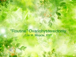 Routine Ovariohysterectomy Erin M Miracle RVT Little Girl