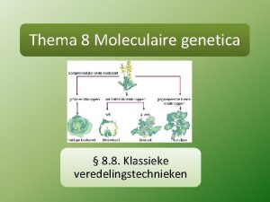Thema 8 Moleculaire genetica 8 8 Klassieke veredelingstechnieken