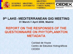 9 th LAKE MEDITERRANEAN GIG MEETING 31 March1