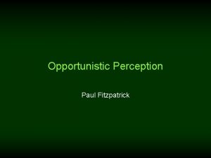 Opportunistic Perception Paul Fitzpatrick machine perception training data