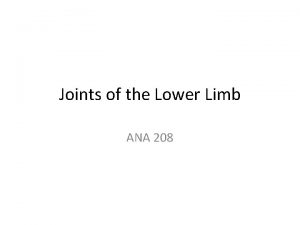 Joints of the Lower Limb ANA 208 Hip