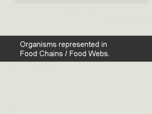 Organisms represented in Food Chains Food Webs Food