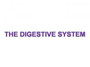 The Digestive System Digestive system the organ system