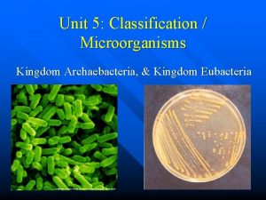 Unit 5 Classification Microorganisms Kingdom Archaebacteria Kingdom Eubacteria