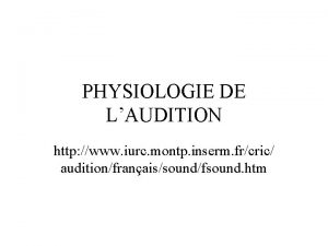 PHYSIOLOGIE DE LAUDITION http www iurc montp inserm