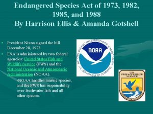 Endangered Species Act of 1973 1982 1985 and